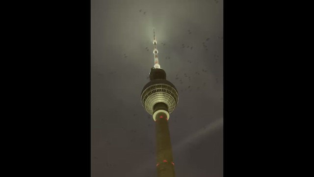 Серая ворона - ML650868465