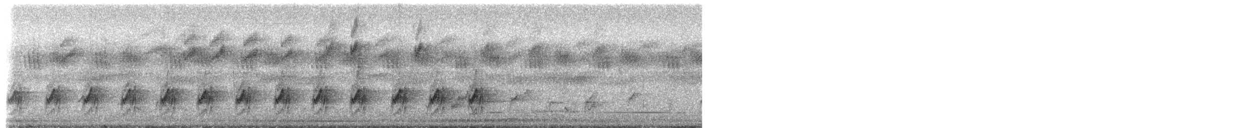 Кубла строката - ML650870539