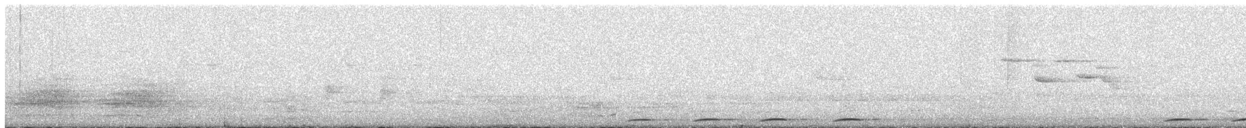 Wonga Pigeon - ML650871768