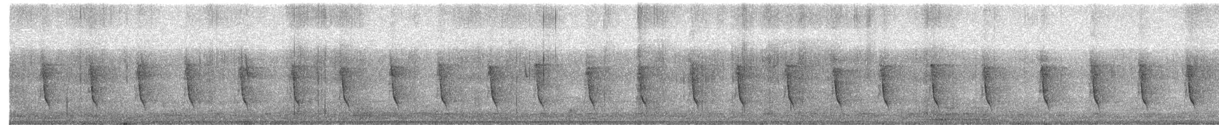 Кубла строката - ML650871800