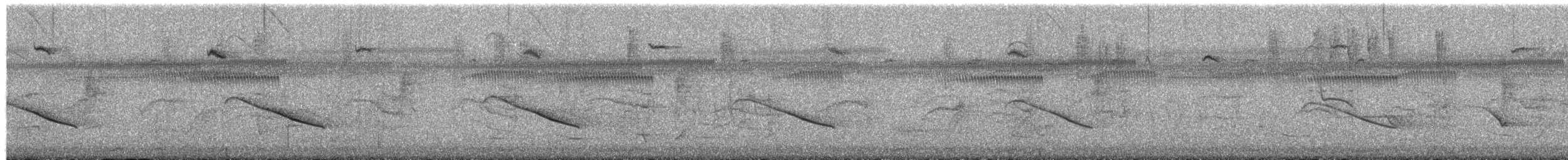 Horsfield's Bronze-Cuckoo - ML650872229