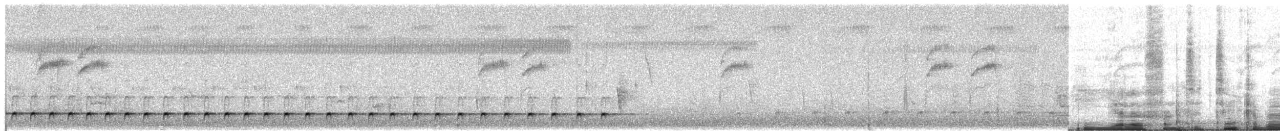 Yellow-fronted Tinkerbird - ML650873715