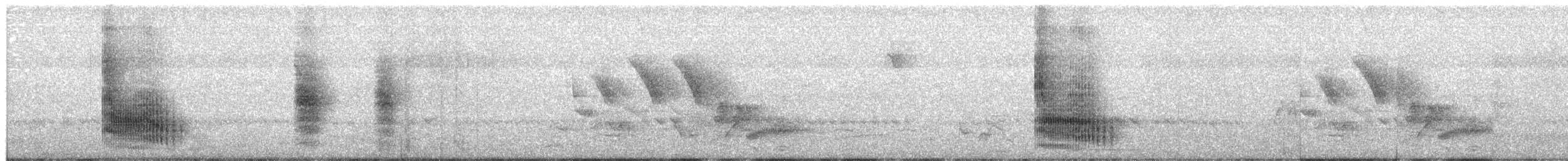 Кубла строката - ML650874039