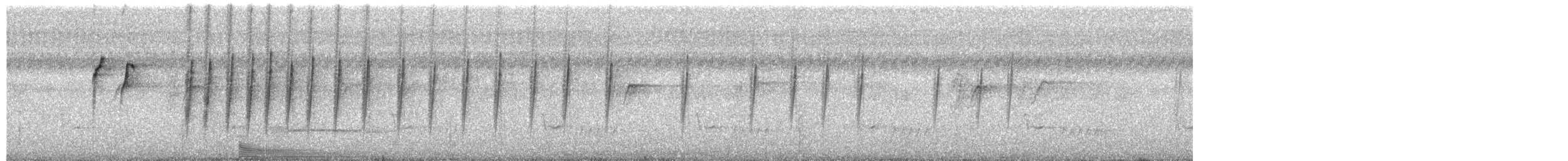 Suimanga Gorjigrís - ML650878007