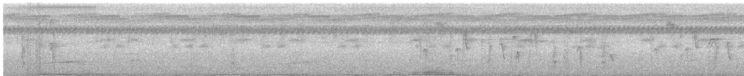 Suimanga Gorjigrís - ML650878009