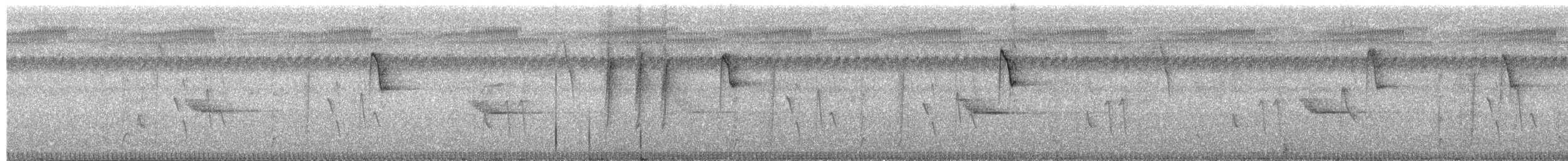 Suimanga Gorjigrís - ML650878010