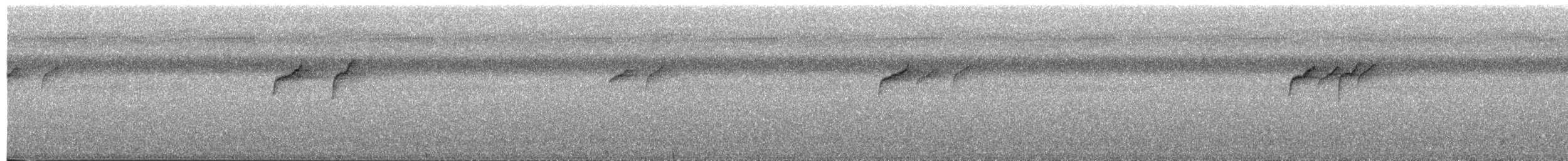 Suimanga Gorjigrís - ML650878011