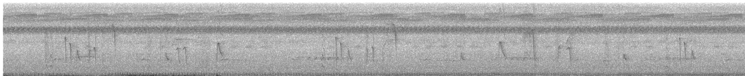 Suimanga Gorjigrís - ML650878012