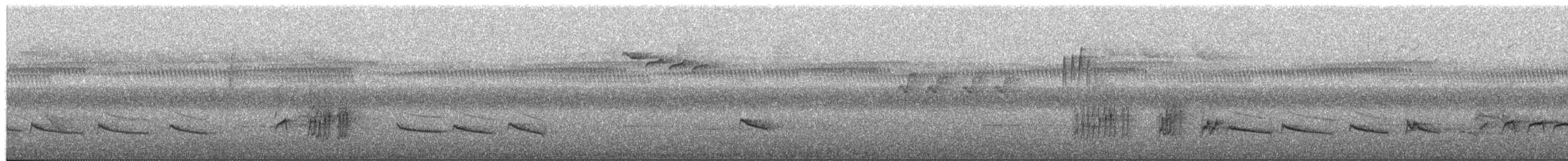 Timalí Coronidorado - ML650878561