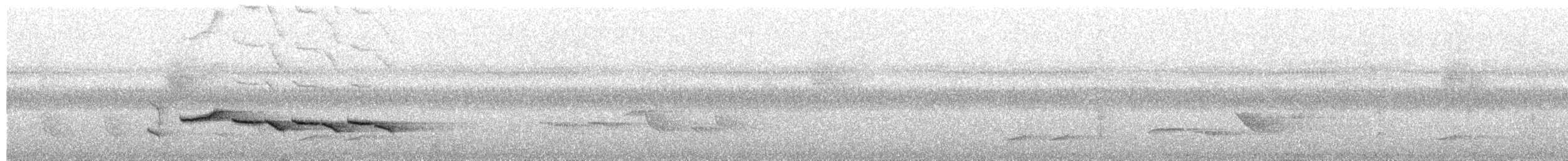 Timalí Coronidorado - ML650878563