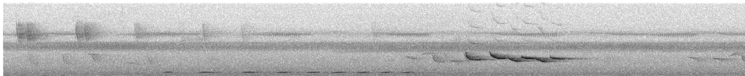 Timalí Coronidorado - ML650878564