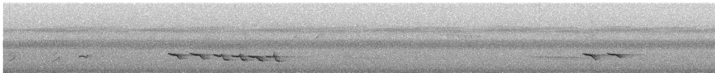 Timalí Coronidorado - ML650878567