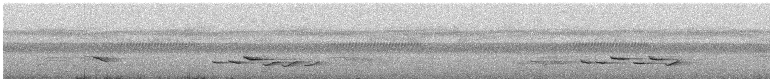 Timalí Coronidorado - ML650878568