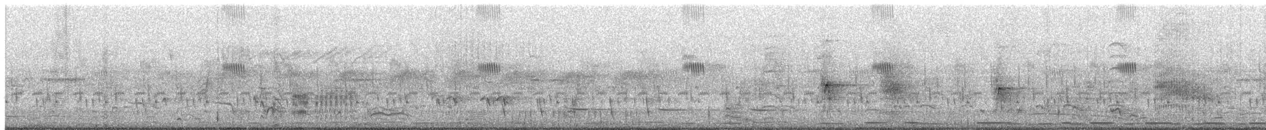 Кубла строката - ML650882704