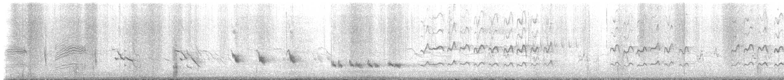 Northern Mockingbird - ML650885329