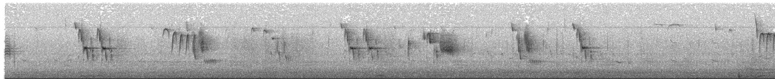 Carolina Chickadee - ML650887500