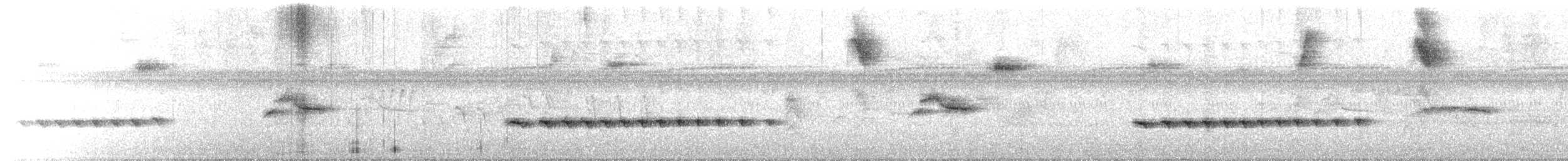 Кущівник-товстодзьоб колумбійський - ML650895369