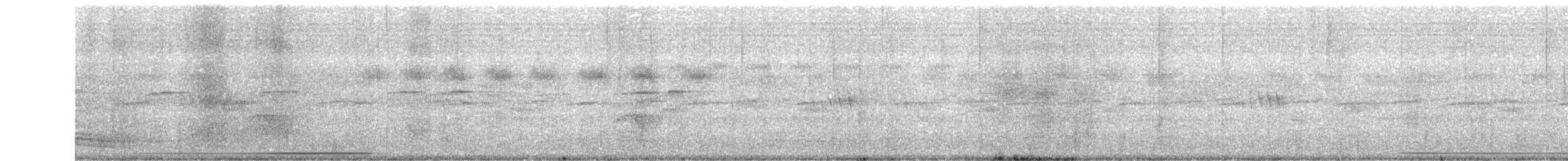 Râle ponctué - ML650896090