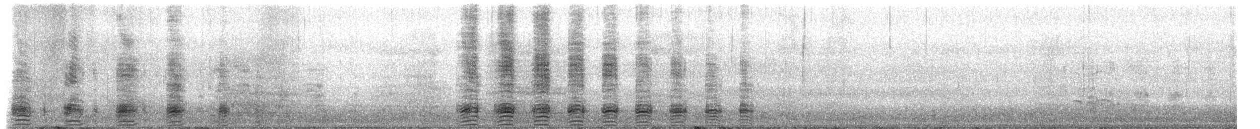 Mallard - ML650901296