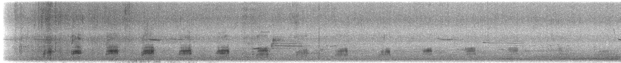 Mallard - ML650904634