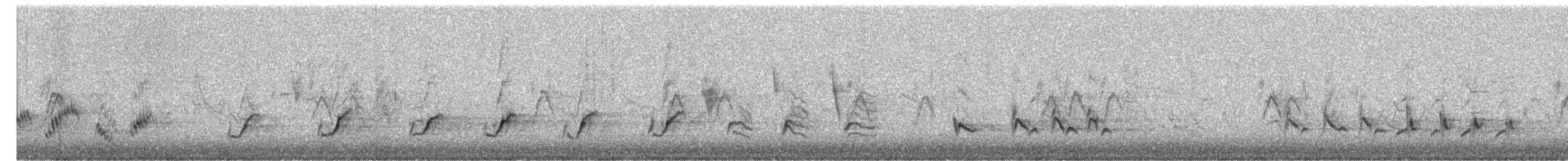 Northern Mockingbird - ML650908911