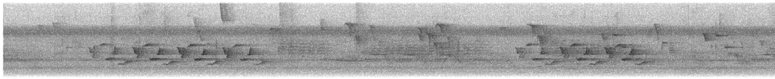 Troglodyte de Caroline - ML650908939