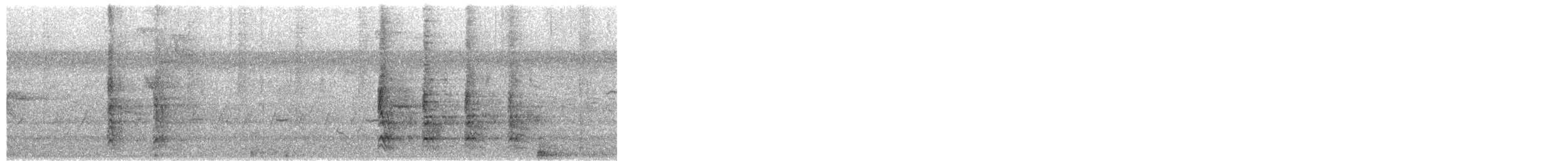 Pic à ventre roux - ML650909060