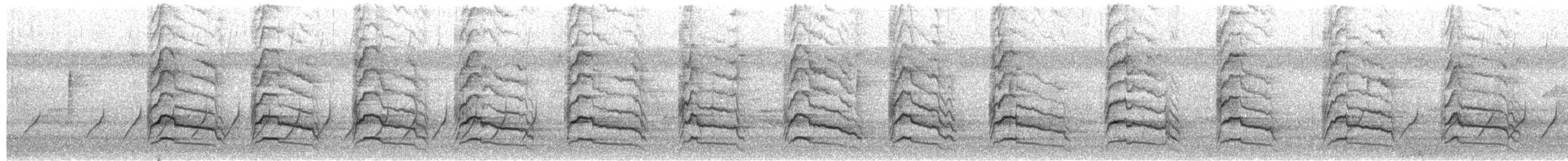 Buse à épaulettes - ML650909092