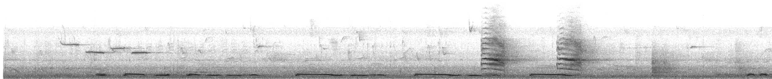 Tourterelle à ailes blanches - ML650909144