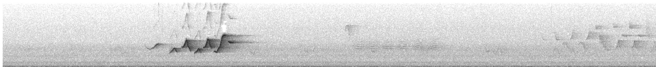 Paruline à capuchon - ML650909150