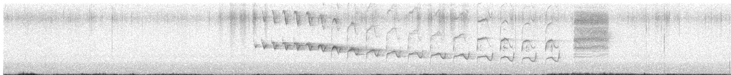 Troglodyte des canyons - ML650909372