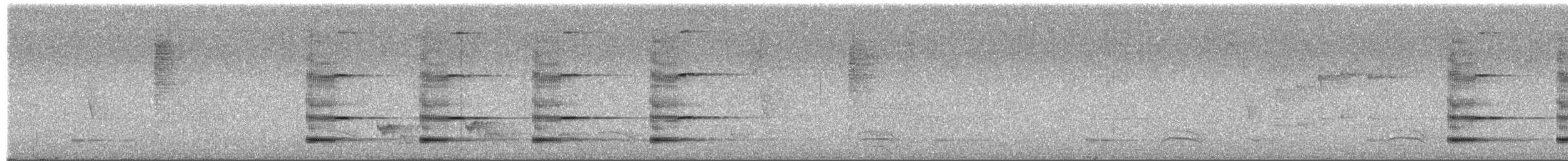 Cotinga coqueluchon - ML650909543