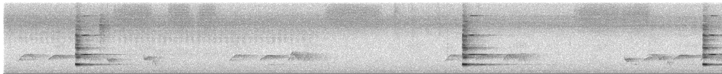 Attila à queue rousse - ML650909642