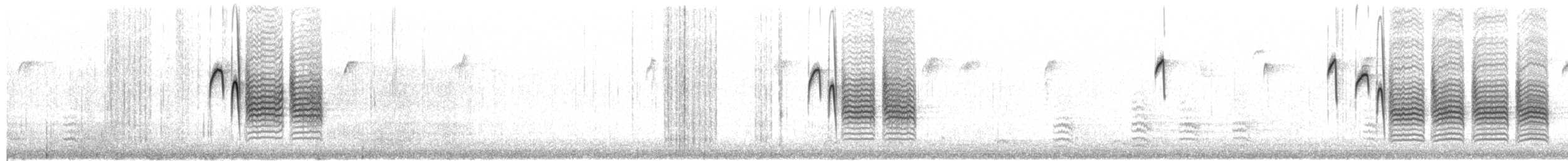 Mésange à tête noire - ML650909858