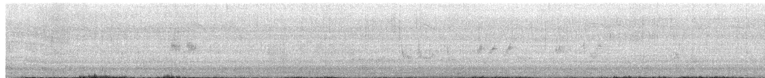 Cincle d'Amérique - ML650909865