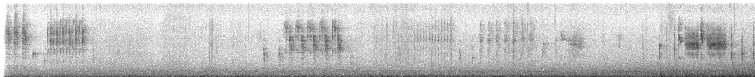 Troglodyte des marais - ML650909912