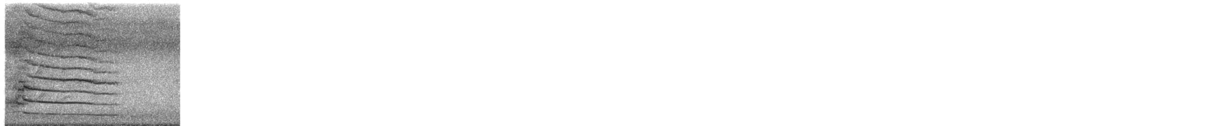 Papuateichhuhn - ML650918315