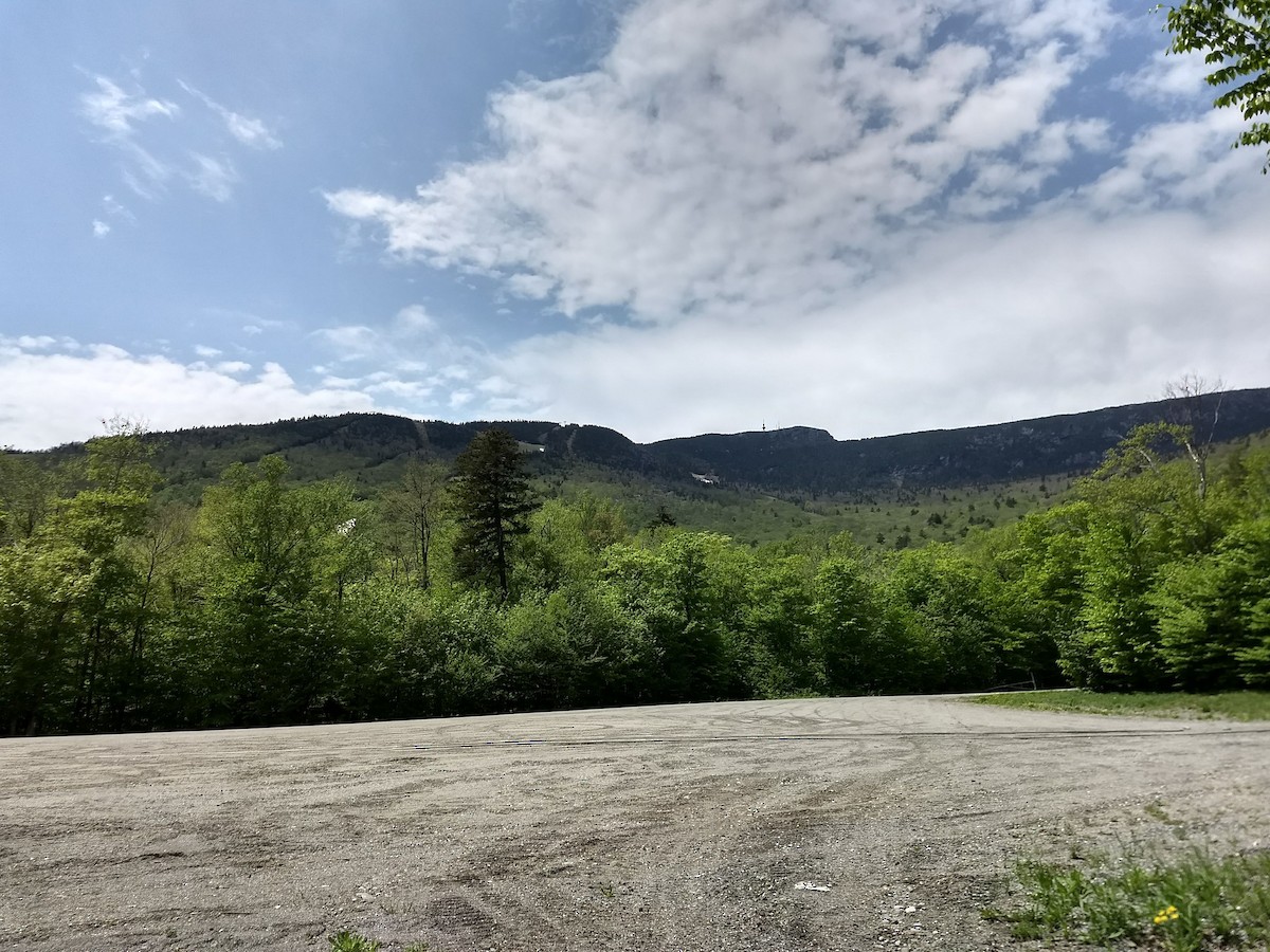 null - ML650918476