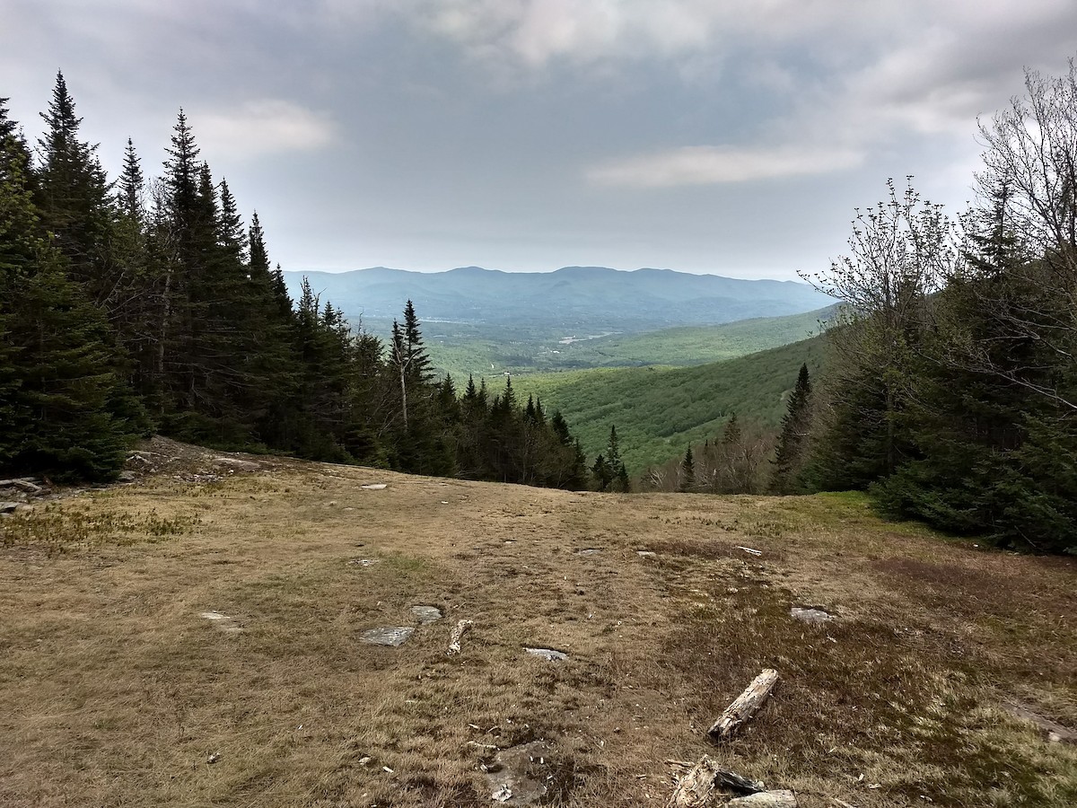 null - ML650918508