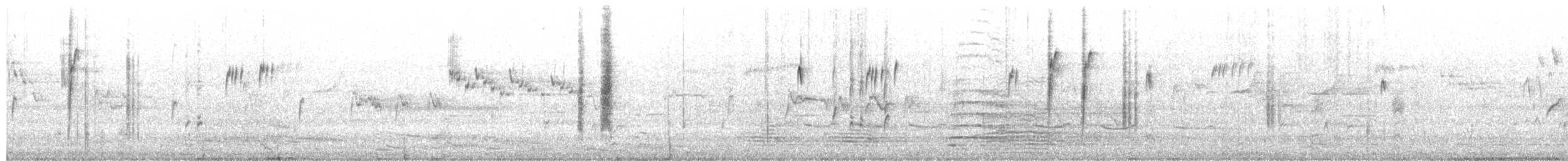 Sedosito Maculado - ML650921694