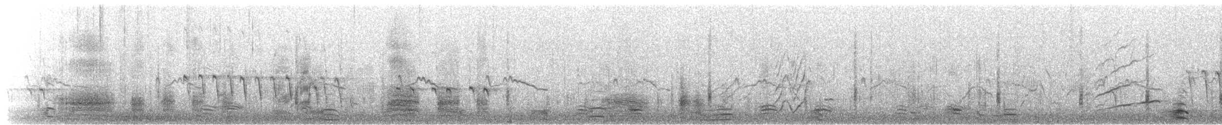 Great-tailed Grackle - ML650925454