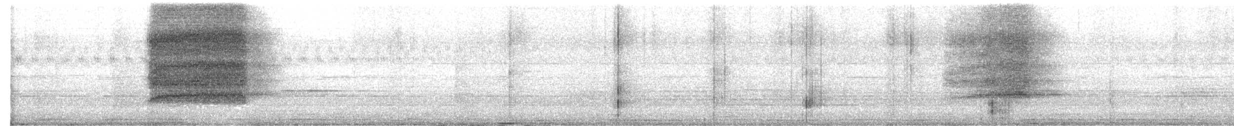 Eastern Barn Owl - ML650927420