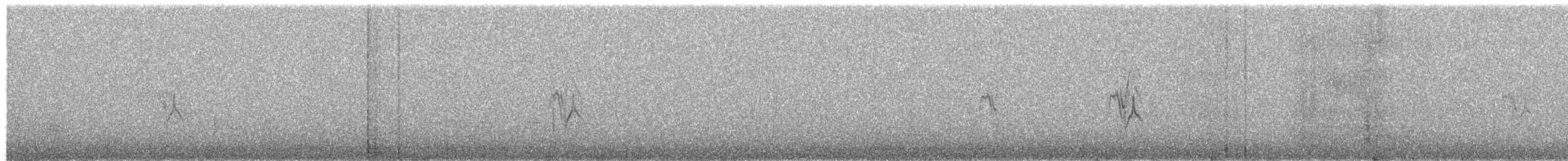 čížek severoamerický - ML650930917