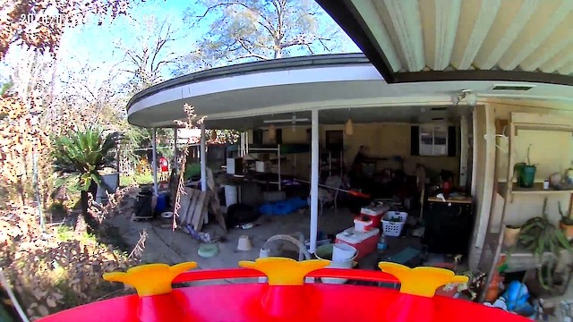 Broad-tailed Hummingbird - ML650933525