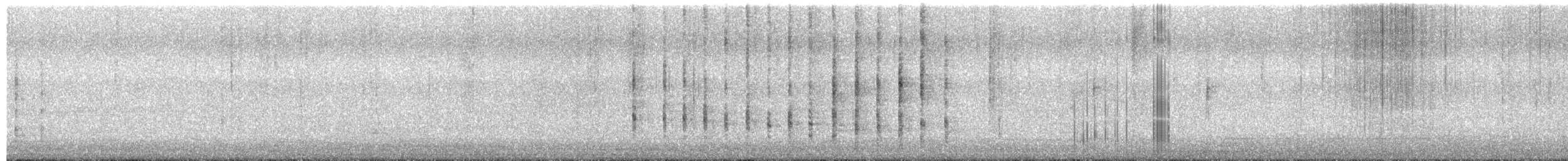 Koartzatxo berdea - ML650939316