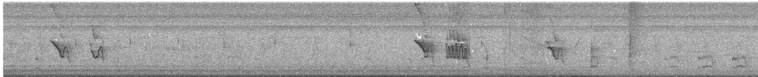 Social Flycatcher - ML650939994