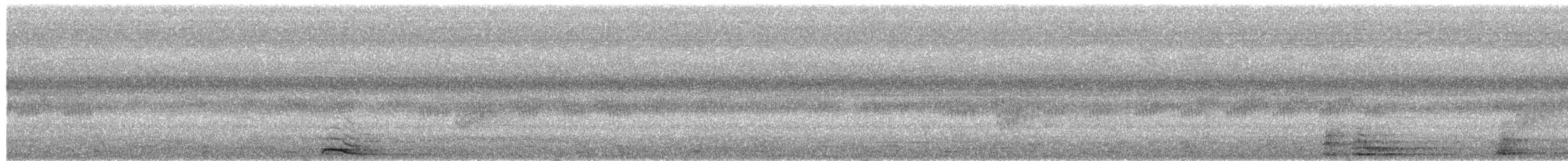 Collared Scops-Owl - ML650940530