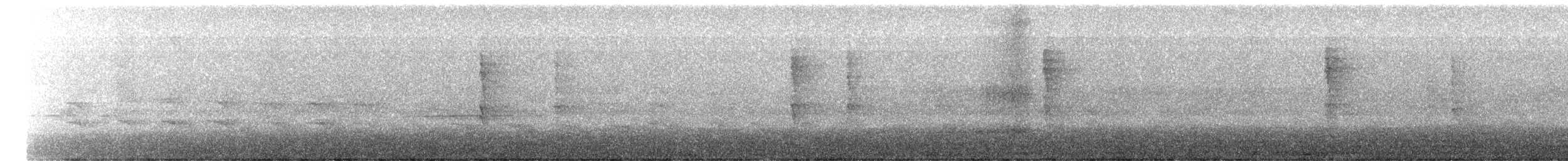 ウィルソンアメリカムシクイ - ML650941185