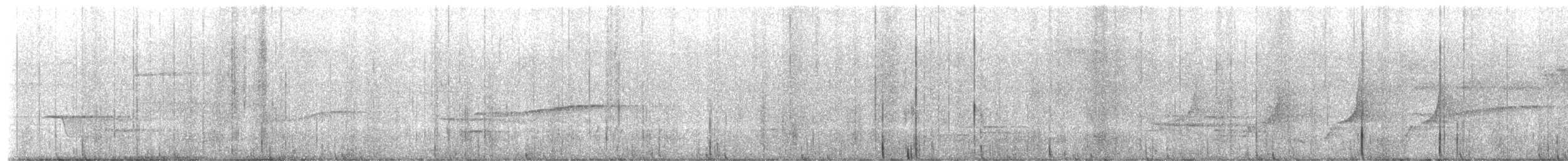 Hellbauch-Schnäppertyrann - ML650942999