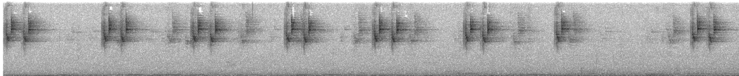 Berg-Veilchenohrkolibri - ML650948148